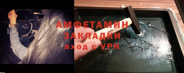 сатива Бородино