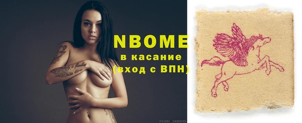 сатива Бородино