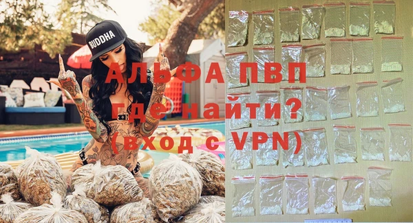 сатива Бородино
