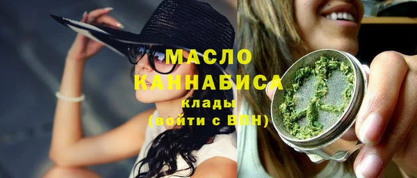 сатива Бородино