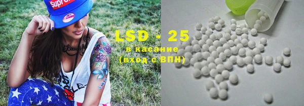 сатива Бородино