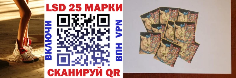 kraken   Ельня  Марки N-bome 1,8мг 