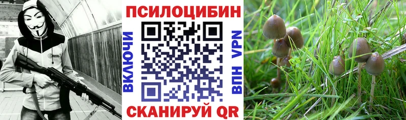 Галлюциногенные грибы GOLDEN TEACHER  Ельня 
